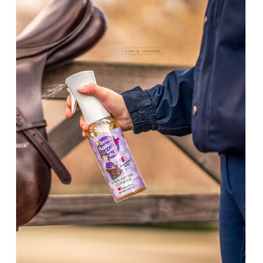 Detergente cuoio equitazione 500 ml | Soulhorse No.2