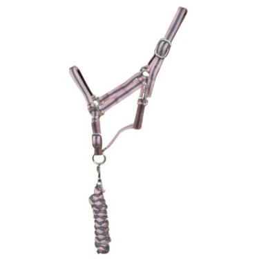 Capestro sintetico foderato + lunghina intrecciata americana T de T Grigio / rosa