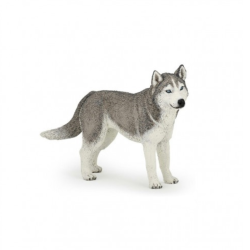 Figurina Husky della Siberia Papo