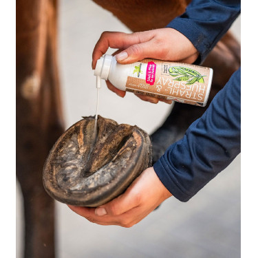 Spray igienizzante zoccoli cavallo Bense & Eicke Spray igienizzante zoccoli cavallo Bense & Eicke