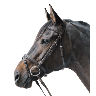 Bridon inglese Star Lifestyle per equitazione | Waldhausen