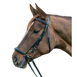 Bridon Star Hannover Nero