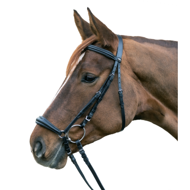 Bridon Star Hannover Nero
