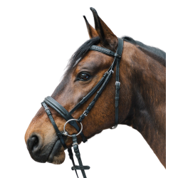 Filetto inglese Waldhausen Star Diamond equitazione