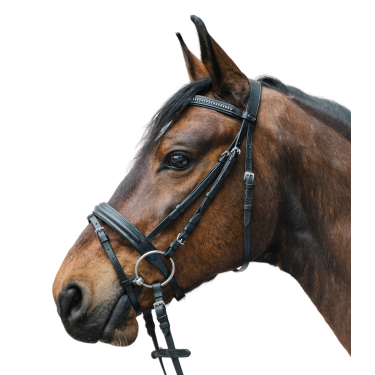 Filetto inglese Waldhausen Star Diamond equitazione