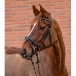 Filetto inglese Waldhausen Star Diamond equitazione