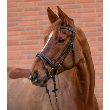 Filetto inglese Waldhausen Star Diamond equitazione