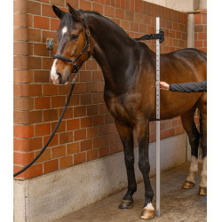 Toise in alluminio per cavallo Waldhausen – equitazione
