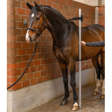 Toise in alluminio per cavallo Waldhausen – equitazione