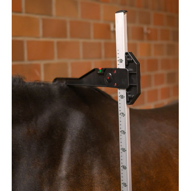 Toise in alluminio per cavallo Waldhausen – equitazione
