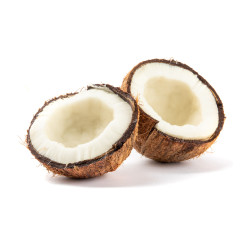 Spray olio di cocco per cavalli 1L | Toelettatura Spray olio di cocco per cavalli 1L | Toelettatura