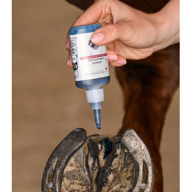 Lozione intensiva fettone cavallo Waldhausen | Equitazione Lozione intensiva fettone cavallo Waldhausen | Equitazione