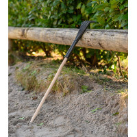 Rastrello Waldhausen raccogli-letame Nero