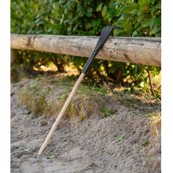 Rastrello Waldhausen raccogli-letame Nero