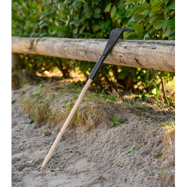 Rastrello Waldhausen raccogli-letame Nero