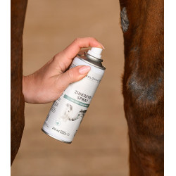 Spray all’ossido di zinco per cavalli | Equitazione