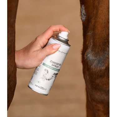 Spray all’ossido di zinco per cavalli | Equitazione