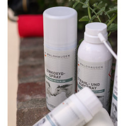 Spray all’ossido di zinco per cavalli | Equitazione