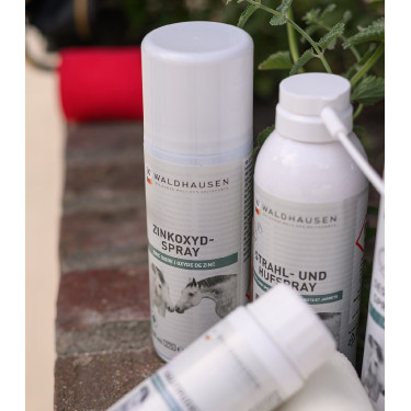 Spray all’ossido di zinco per cavalli | Equitazione