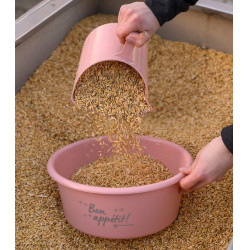 Paletta dosatrice 2L per mangimi equitazione Waldhausen