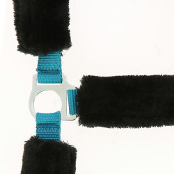 Cavezza Norton in montone sintetico Blu elettrico / nero