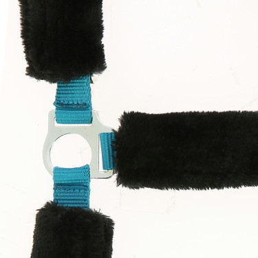 Cavezza Norton in montone sintetico Blu elettrico / nero