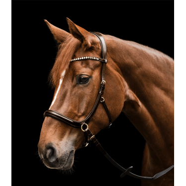 Briglia senza morso Sensation Waldhausen X-Line Marrone