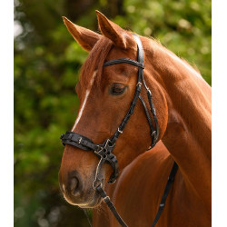 Hackamore Waldhausen X-Line bridone Nero