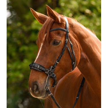 Hackamore Waldhausen X-Line bridone Nero