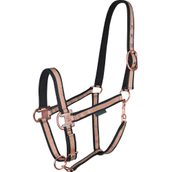 Capezza da equitazione imbottita Shine Waldhausen