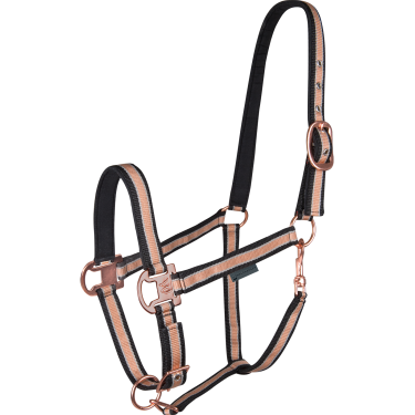 Capezza da equitazione imbottita Shine Waldhausen