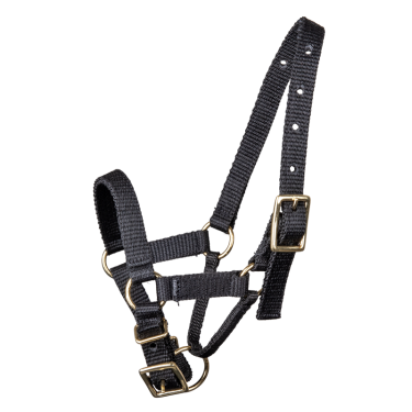 Cavezza Waldhausen per alpaca Nero