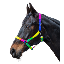Cavezza arcobaleno Waldhausen per cavallo – equitazione Cavezza arcobaleno Waldhausen per cavallo – equitazione