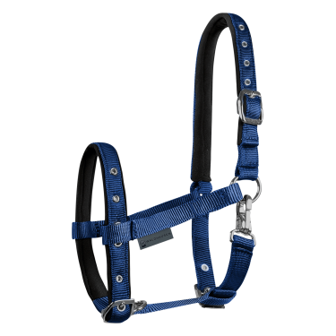Cavezzale Puledro Waldhausen Confort Blu scuro