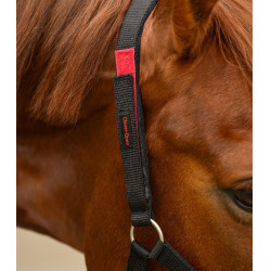 Capestro di sicurezza Waldhausen Nero Capestro di sicurezza Waldhausen Nero