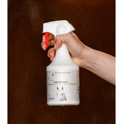 Spray insettifugo cavalli Waldhausen 500 ml | Equitazione