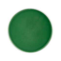 Grasso per zoccoli Waldhausen 500 ml Verde