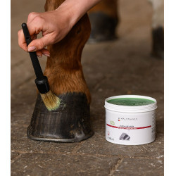 Grasso per zoccoli Waldhausen 500 ml Verde