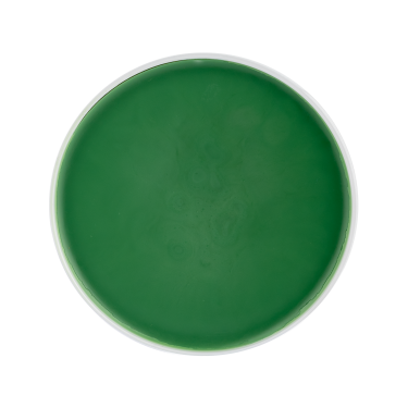 Grasso zoccoli cavalli 1L Waldhausen | Cura equitazione