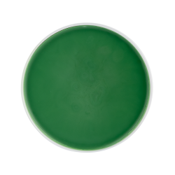 Grasso zoccoli cavalli 1L Waldhausen | Cura equitazione