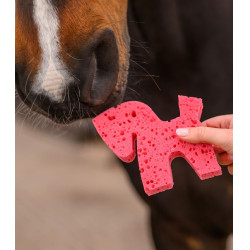Spugna Waldhausen a forma di cavallo Multicolore