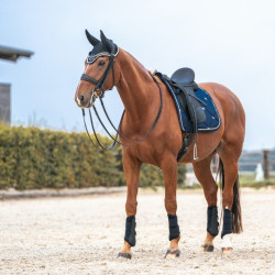 Sottosella da Dressage Night Collection Back On Track Sottosella da Dressage Night Collection Back On Track