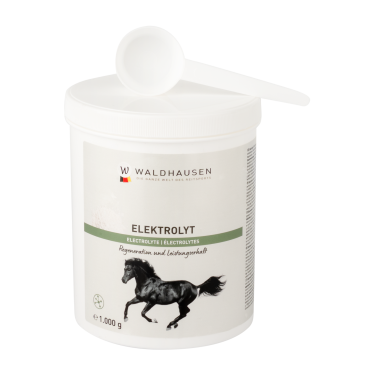 Elettroliti per cavalli Waldhausen | Integratore equitazione Elettroliti per cavalli Waldhausen | Integratore equitazione