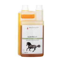 Elettroliti liquidi per cavalli Waldhausen | Equitazione Elettroliti liquidi per cavalli Waldhausen | Equitazione