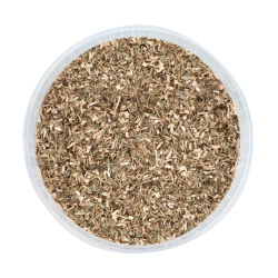 Echinacea per cavalli Waldhausen – integratore naturale