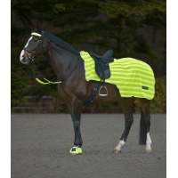 Coprireni Waldhausen Reflex Neon giallo