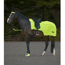Coprireni Waldhausen Reflex Neon giallo