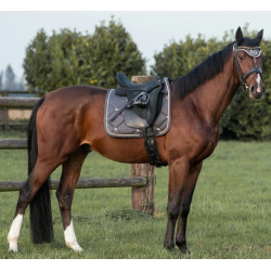 Sottosella da Dressage Night Collection Back On Track Grigio