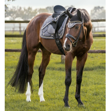 Sottosella da Dressage Night Collection Back On Track Grigio