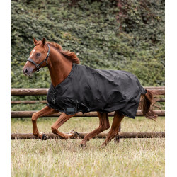 Coperta da esterno Waldhausen Nordic 100 g Nero Coperta da esterno Waldhausen Nordic 100 g Nero